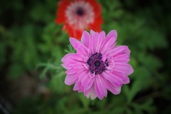 DSC01198