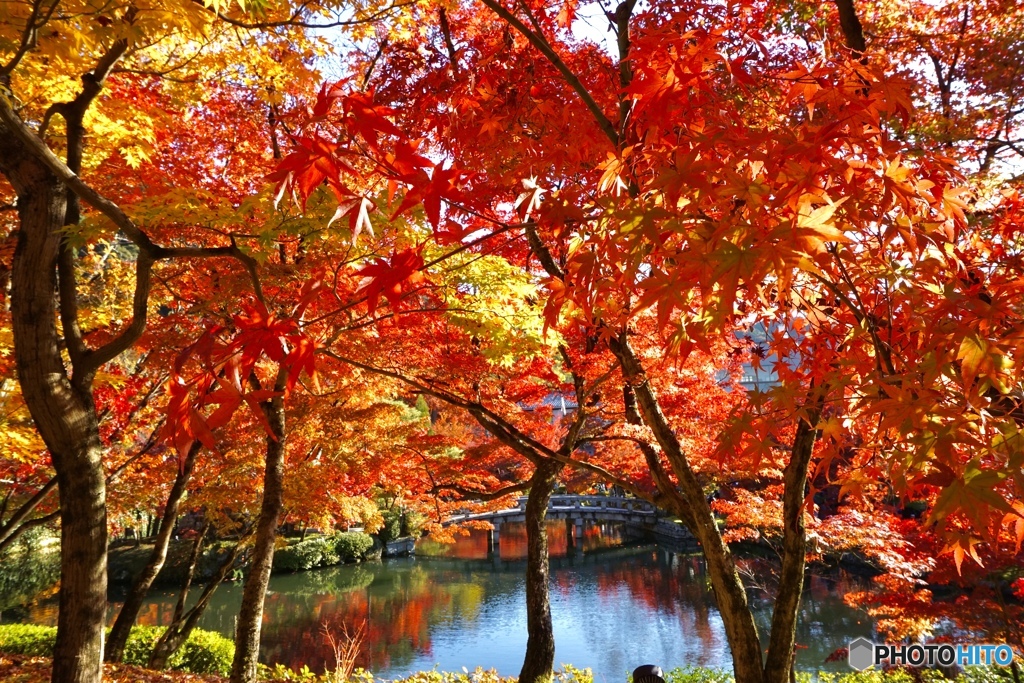永観堂禅林寺①