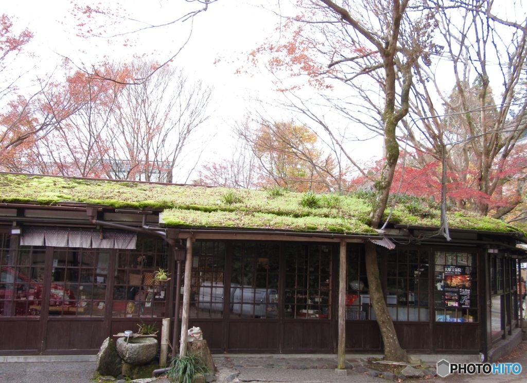京都 大原にて ３