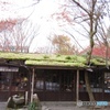 京都 大原にて ３