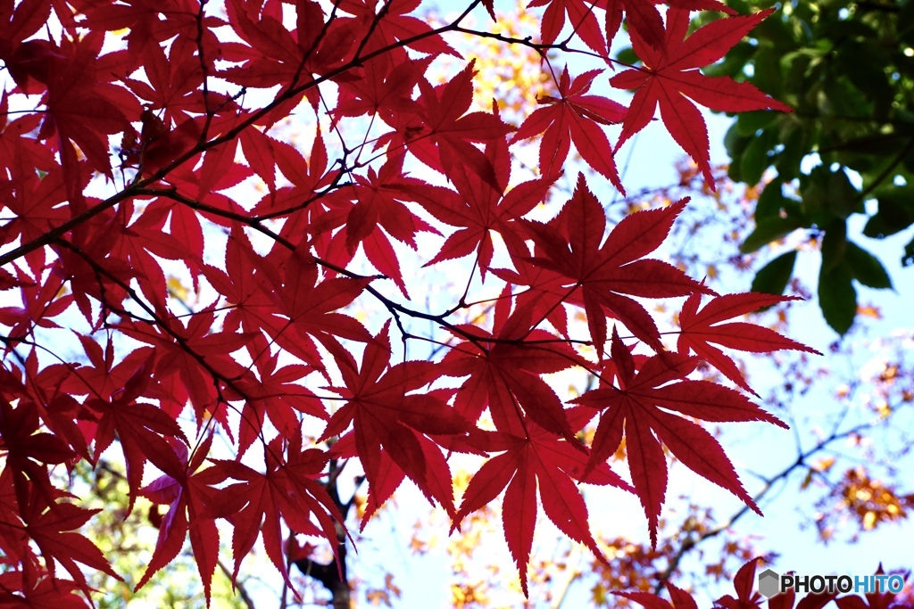 芸術の秋