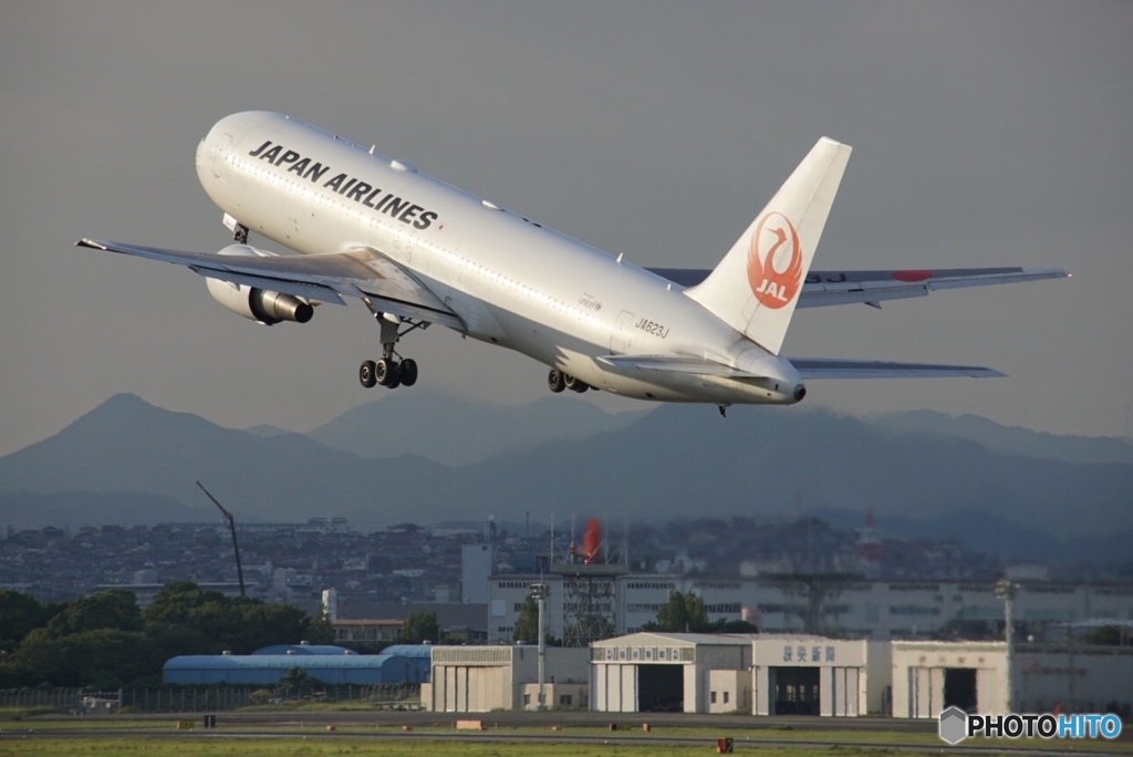 日本の翼✈️