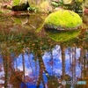 秋を探しに… １