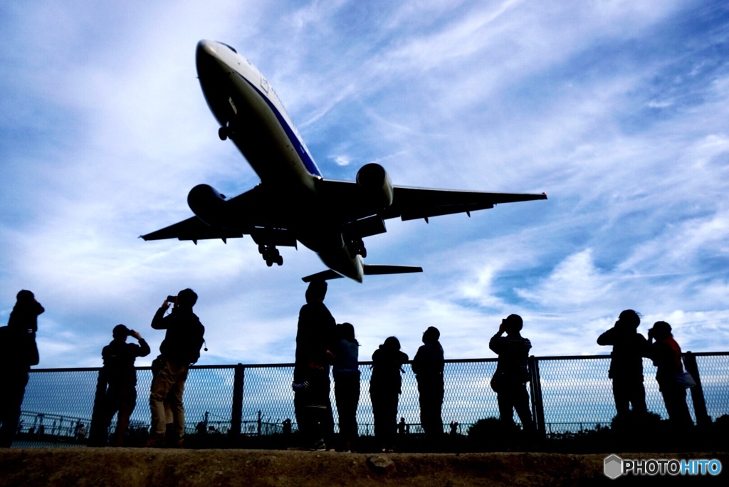 秋の空を見上げて…✈️