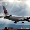 天使の贈りもの