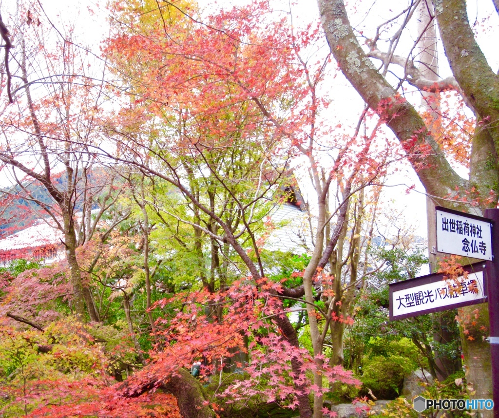 京都 大原にて ２
