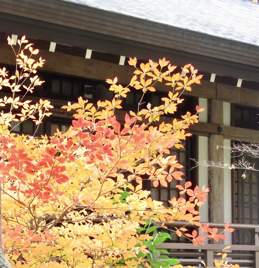 京都 大原 三千院
