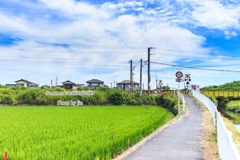 夏休み現在進行形