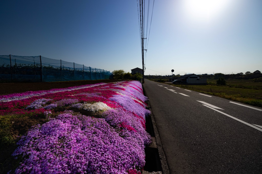 通勤路