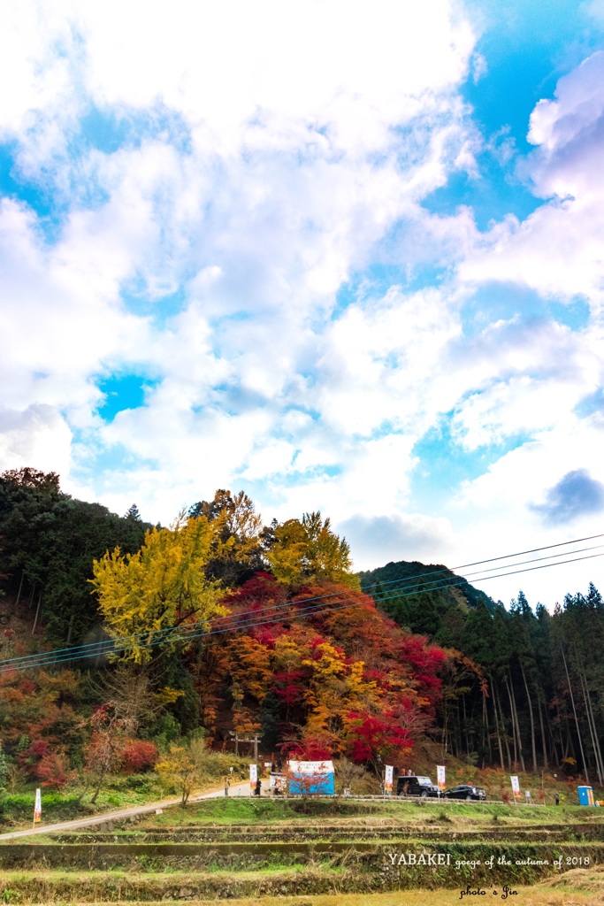 御霊紅葉 耶馬渓