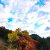 御霊紅葉 耶馬渓