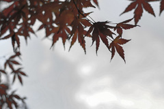 曇り空