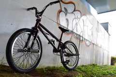 自転車でふらふら