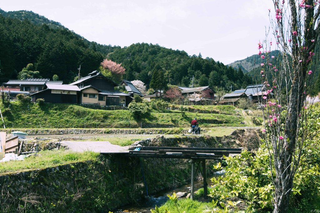 京散歩12