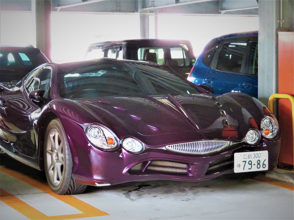 珍しい車