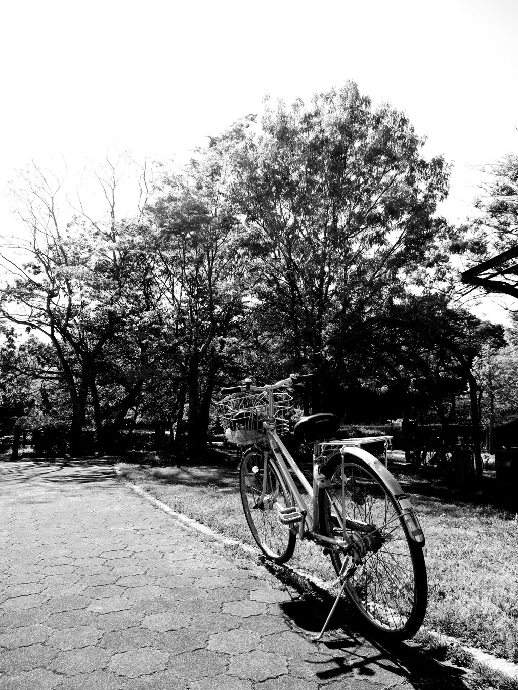 自転車で