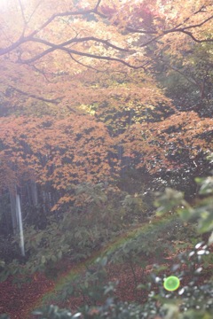 ぶれてるwが、いい！w