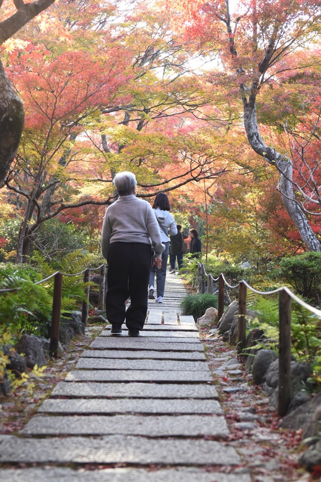 紅葉散歩