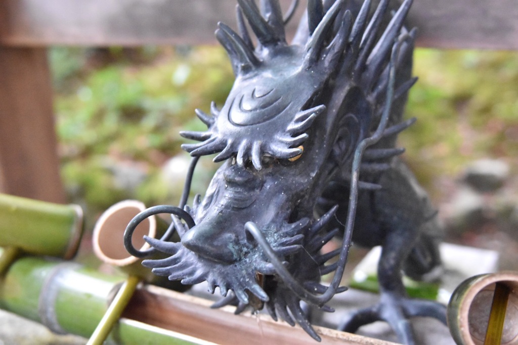 龍です！
