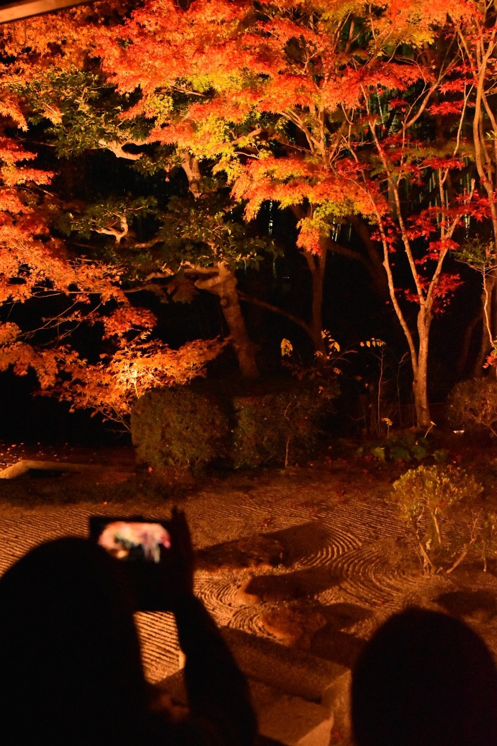 紅葉のスクリーン