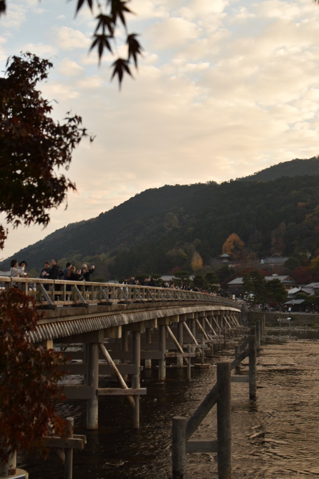 渡月橋2