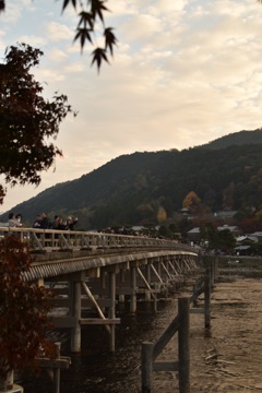 渡月橋2