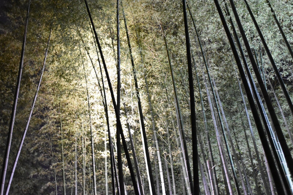 静寂