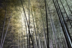 静寂