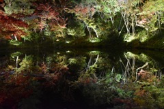 幻想