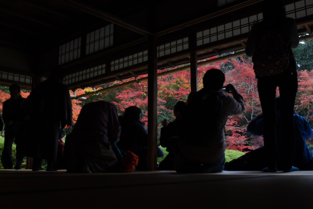 夢中！