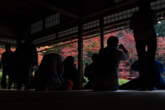 夢中！