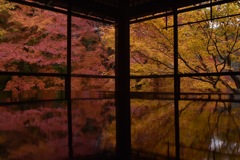 瑠璃
