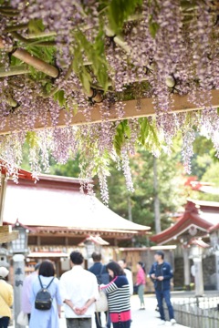 金蛇水神社にて