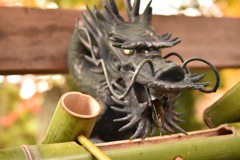龍
