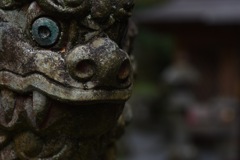 メヂカラ