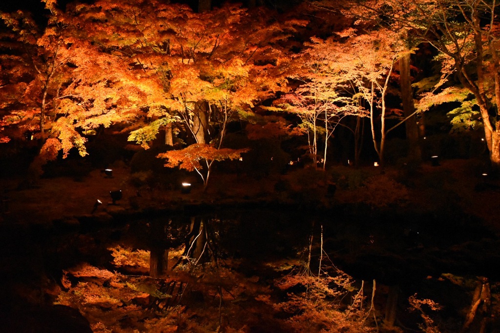 松島 紅葉水鏡
