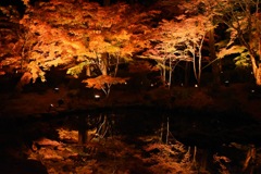 松島 紅葉水鏡