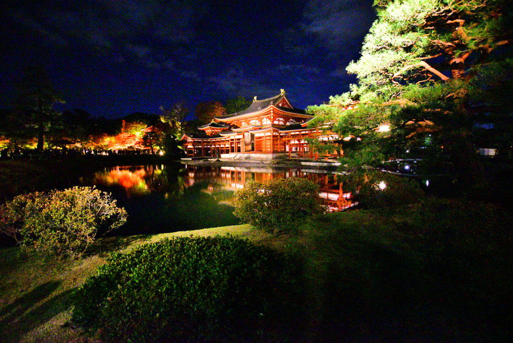 平等院鳳凰堂 横顔