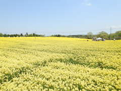 DSCN2648