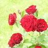DSCN3312