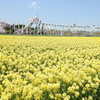 DSCN2623