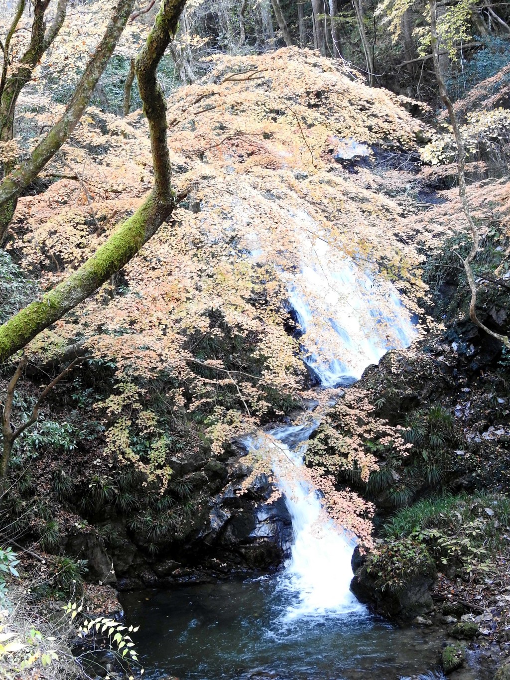 横川の下滝ｰ1