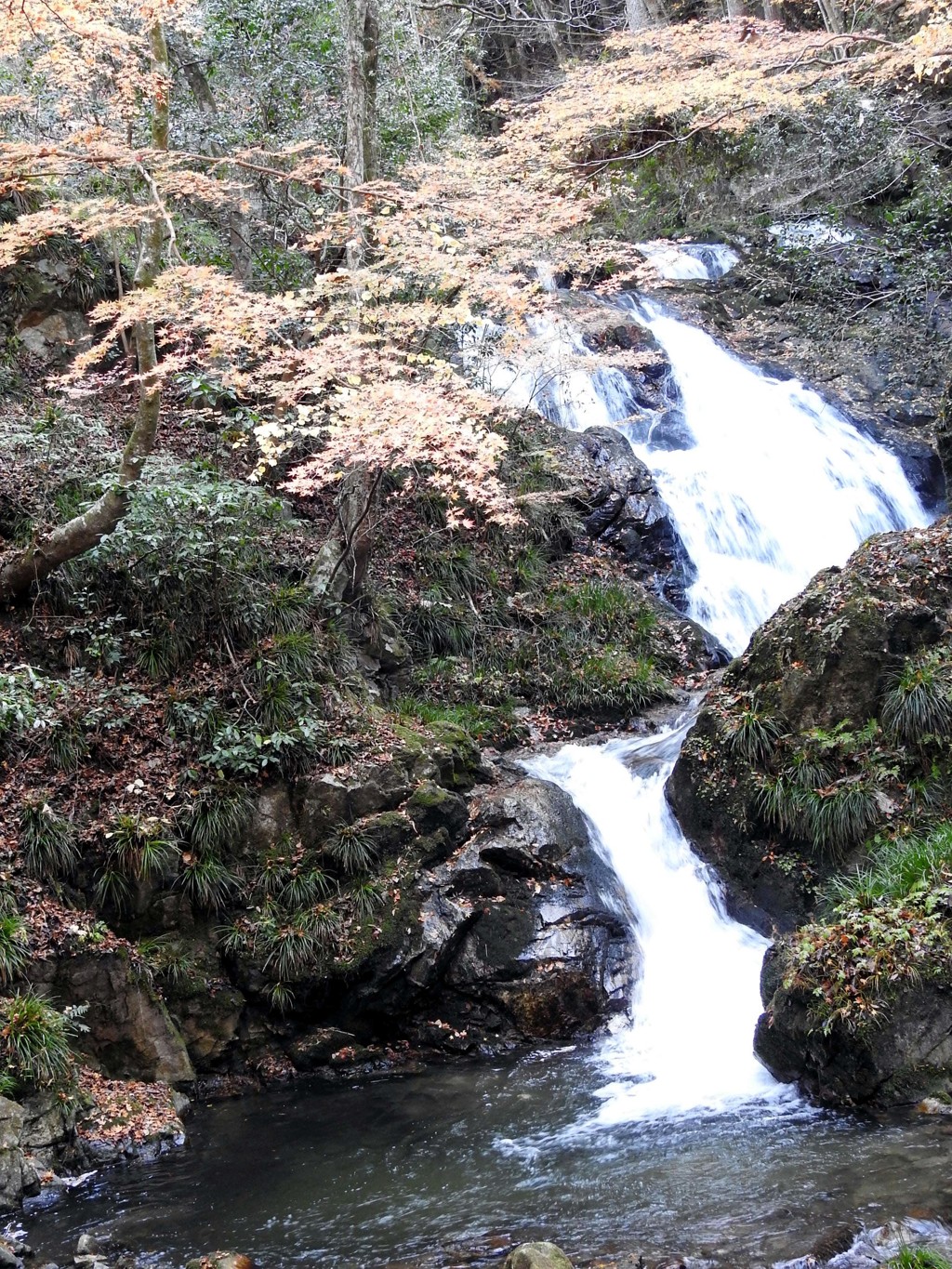 横川の下滝ｰ2