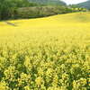 DSCN3260