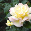 DSCN3285