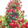 DSCN3302