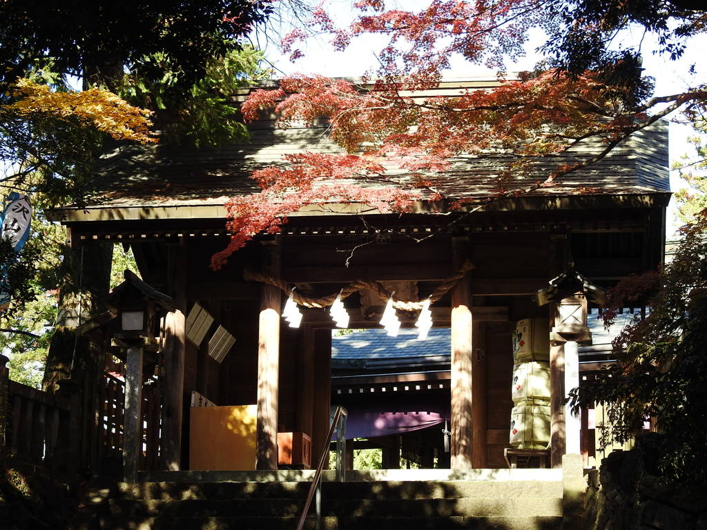 唐沢山神社参門