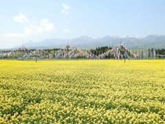 DSCN2629