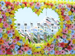 DSCN2634