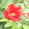 DSCN3297